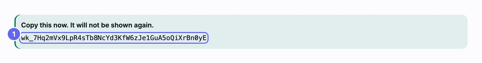 A newly issued API key shown once under API keys, with a note to copy it now