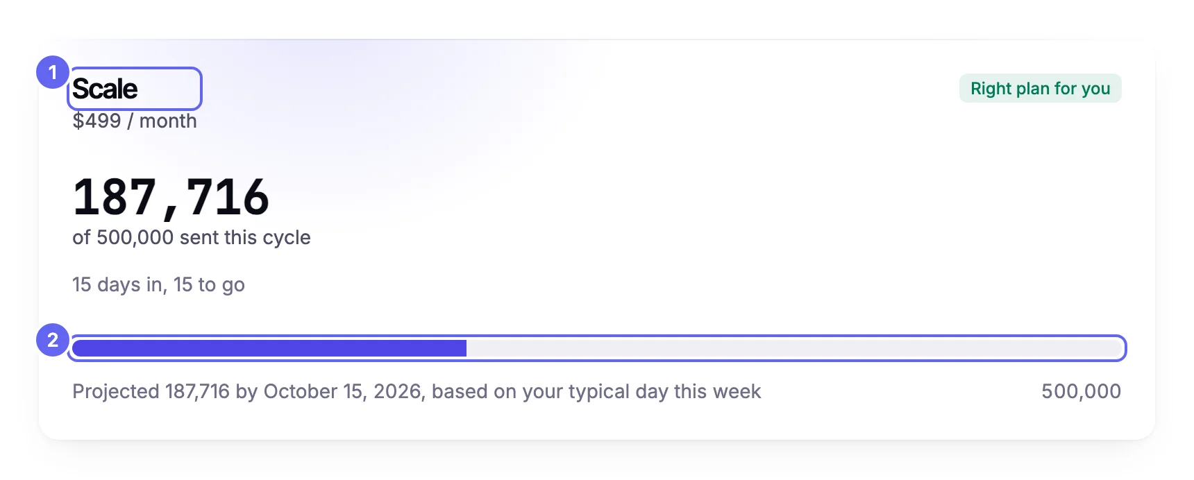 The Billing summary for the Scale plan at $499 a month, with 187,716 of 500,000 sent this cycle and a meter showing the share used